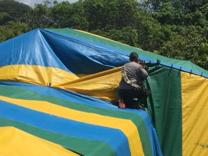 Waianae HI Ground Termites