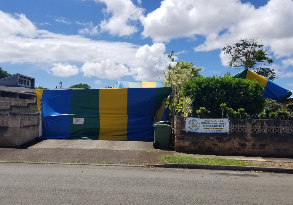 Fumigation Menehune Pest Locally Owned & Family Operated Since 2013