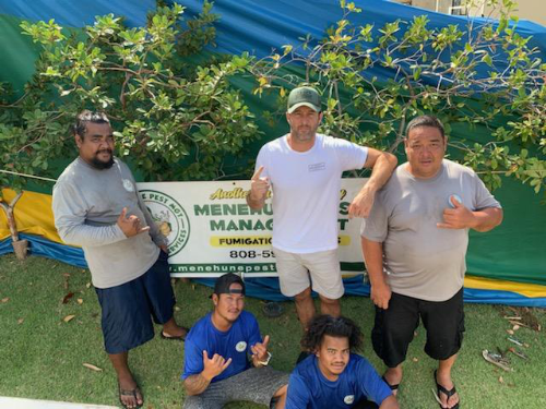 contact menehune pest management hawaii